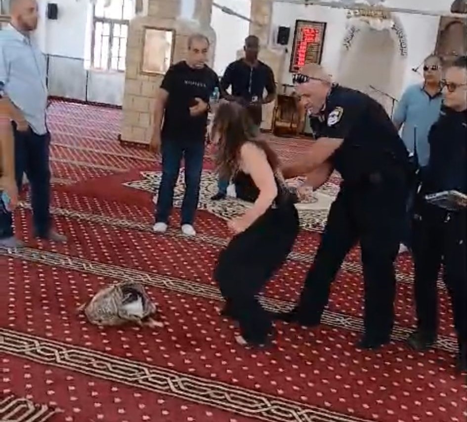 WhatsApp Image 2024-06-20 at 17.30.33.jpeg